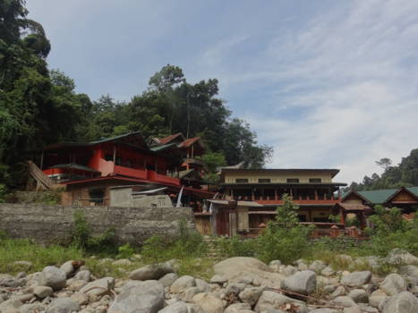 Gunung Leuser National Park - Guesthouse Jungle Inn