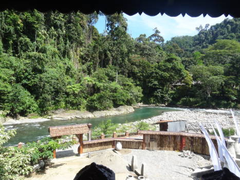 Gunung Leuser National Park - Uitzicht op de rand van het park vanuit guesthouse