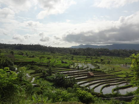 Tirtagangga