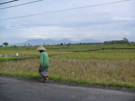 Bali - lokaal vrouwtje