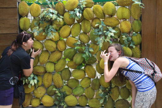 Bali - Durian......
