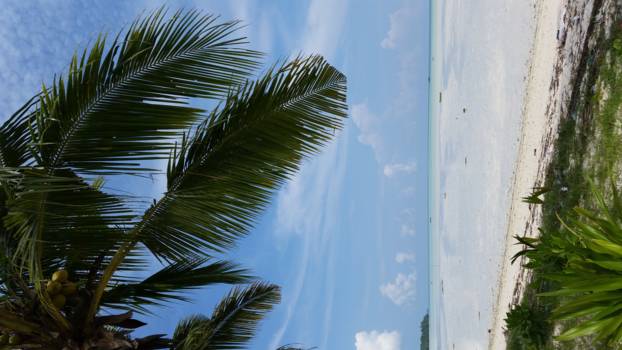 Molukken - Pulau Kei Kecil