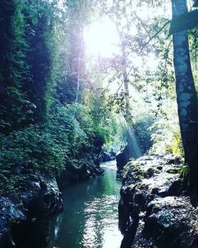 Bali - Nature at is greatest