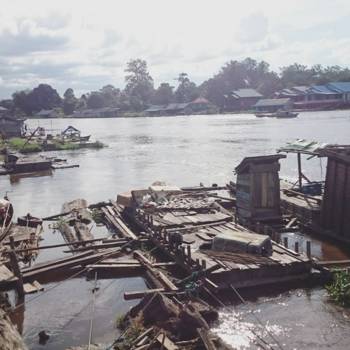 Bali - Water life in Borneo life