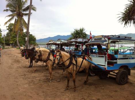 Gili-eilanden - dokhar Gili Air