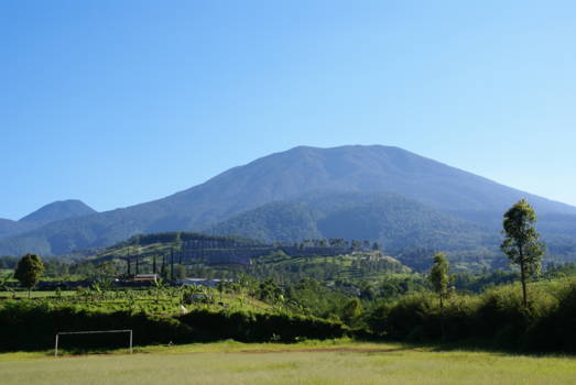 Java - Gunung Gede met theeplantage in West-Java