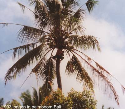 Java - net buiten Jakarta