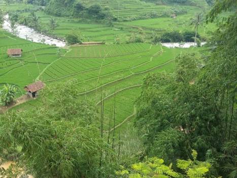 Java - Tussen Garut en Tasik