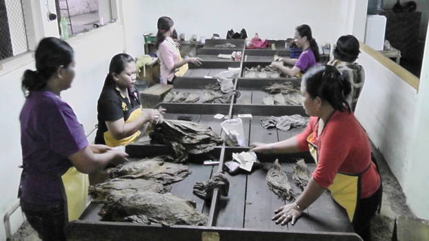 Yogyakarta - Sigarenfabriek