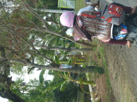 Java - Met z'n alle op de motor