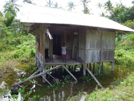 Papoea - ons oude huis