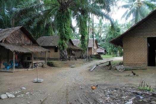 Sumatra - Jungle van Tankahan