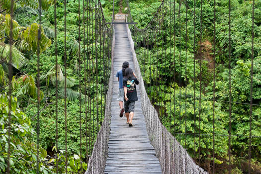 Sumatra - Tangkahan jungle