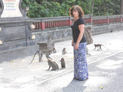 Bali - Op bezoek bij de Apen