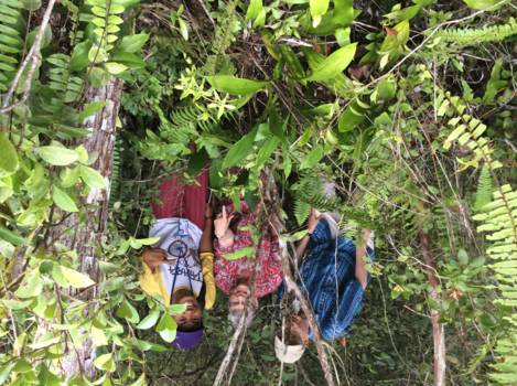 Indonesie - De zwarte orchidee gevonden