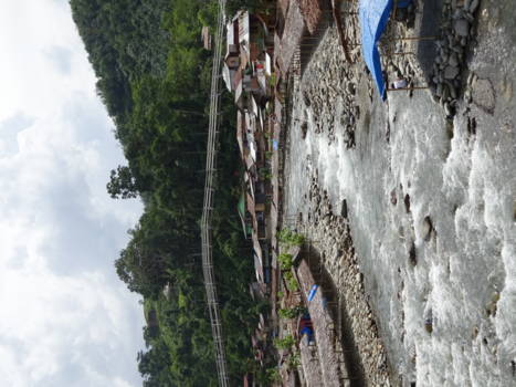 Gunung Leuser National Park - Brigde to GLNP