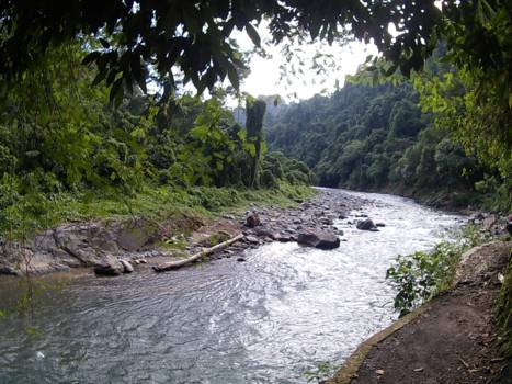Gunung Leuser National Park - River for rafting