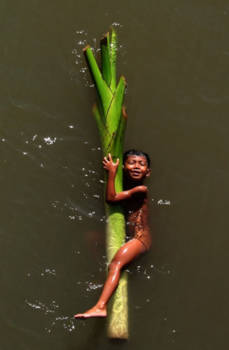 Sulawesi - Poor but happy