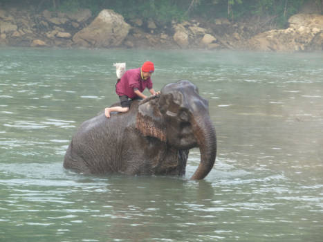 Bali - Olifant in The River Kwai