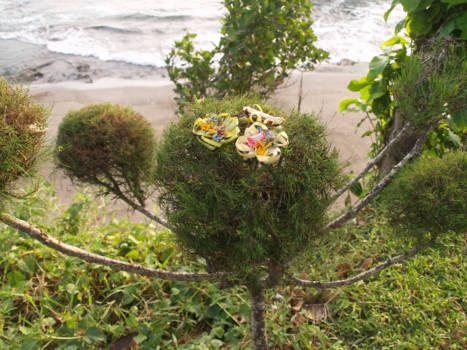 Bali - Offers om de goden goed te stemmen