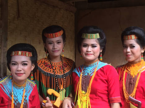 Sulawesi - Begrafenis ceremonie op Sulawesi