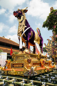 Bali - Paarse houten buffel sarcofaag