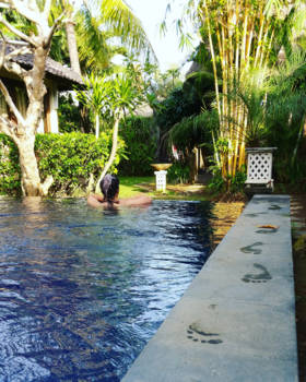 Bali - Zen in Canggu