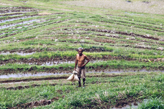 Bali - All you need to be happy is nature
