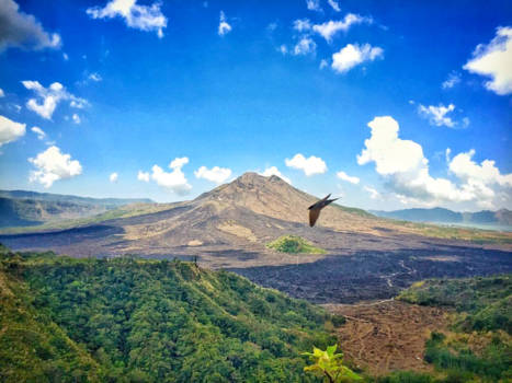 Bali - Lunch with a view... En een perfect getimede vogel