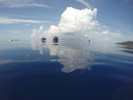 Molukken - Zwemmen met wilde dolfijnen. Hatta heeft het!