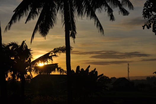 Bali - Bali in the morning