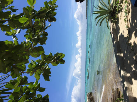 Nusa Lembongan - Paradise