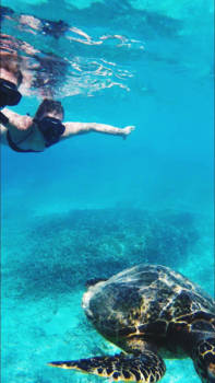 Gili-eilanden - Onderwaterwereld