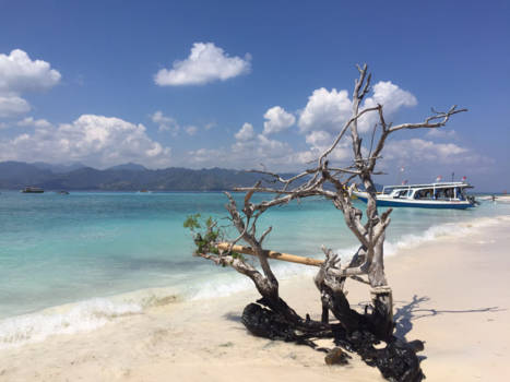 Gili-eilanden - Gili eilanden. Één van de mooiste eilandgroepen ter wereld