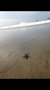 Bali - Klaar voor de grote avonturen!