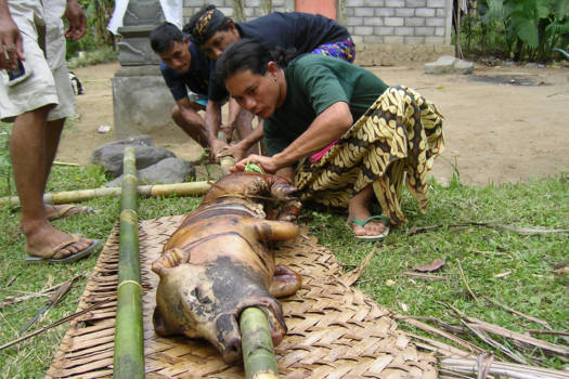 Bali - Voorbereiding familiefeest i.v.m. herdending voorouders dat 1x p.j. gehouden wordt.