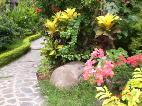 Bali - prachtige natuur