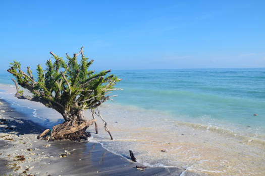Gili-eilanden - zen op een partyeiland