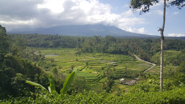 Bali - The place that changes your life
