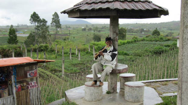 Sumatra - Music in Sumatra
