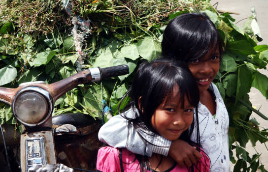 Ubud - Lokale schones