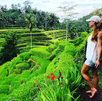 Ubud - De rust van rijst