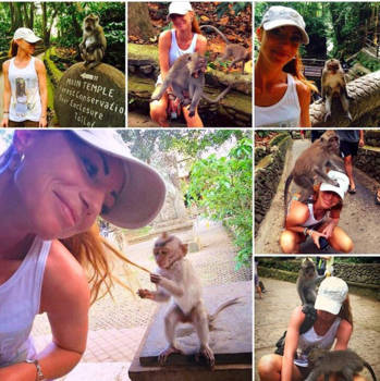 Monkey Forest - Monkey forrest