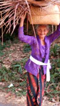 Ubud - Nenek cantik
