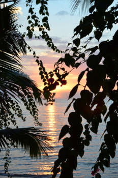 Kuta - Travelling is like flirting with life