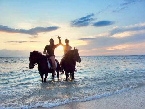 Gili-eilanden - Sunset horseriding