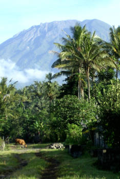 Bali - Het is toch geen straf om elke morgen wakker te worden als je de Mount Agun ziet