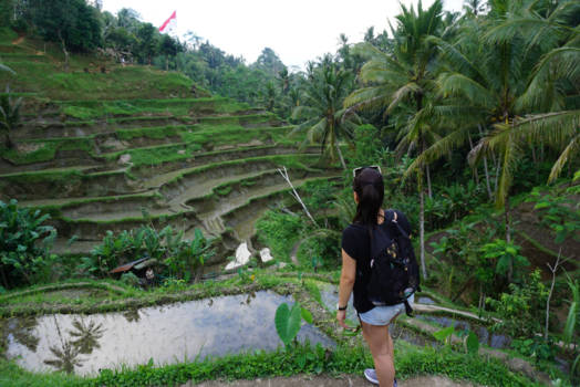 Ubud - Tengallalang's mooie groene rijstvelden.
