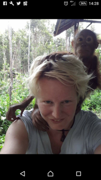 Kalimantan - Orang utan droom ervaring!