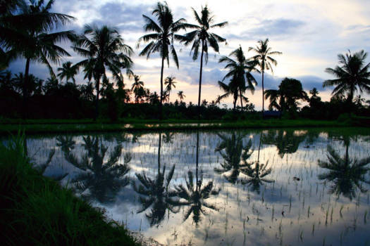 Bali - Bali, eind van de middag.